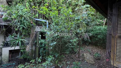 Image 4 - 810318