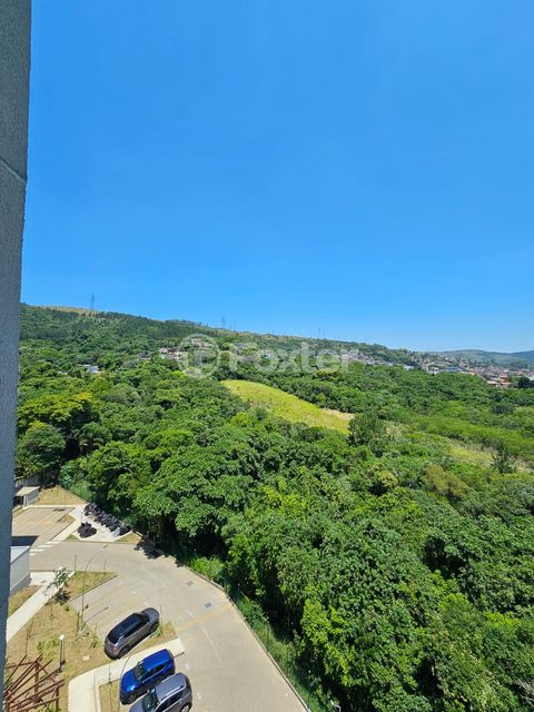 Image 17 - 818147