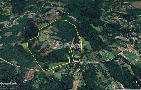Image 19 - 826381
