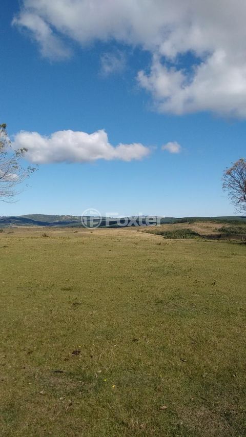 Image 7 - 830022