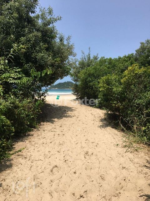 Image 18 - 833396