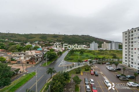 Image 14 - 834535