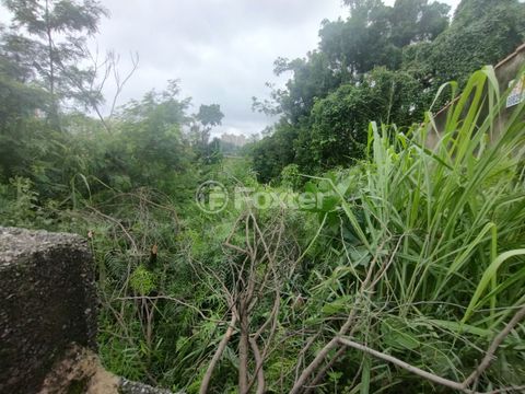Image 4 - 834696