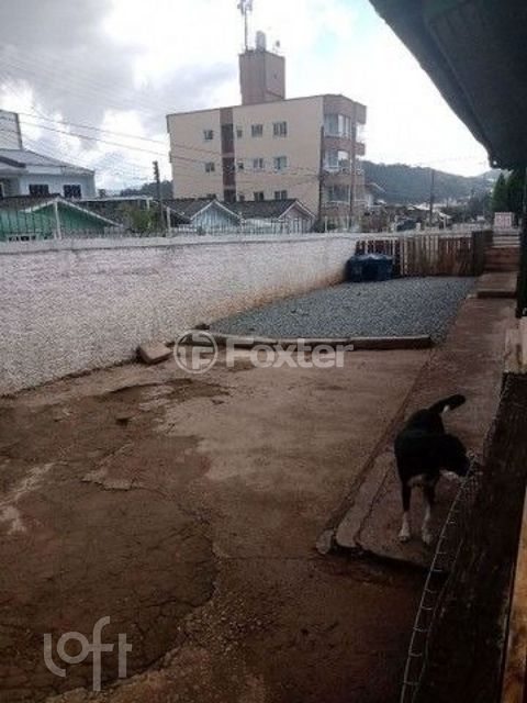 Image 9 - 835030