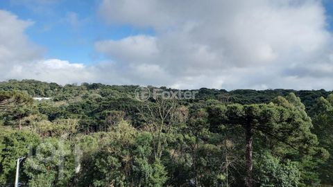 Image 14 - 835226
