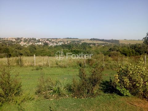 Image 4 - 835561