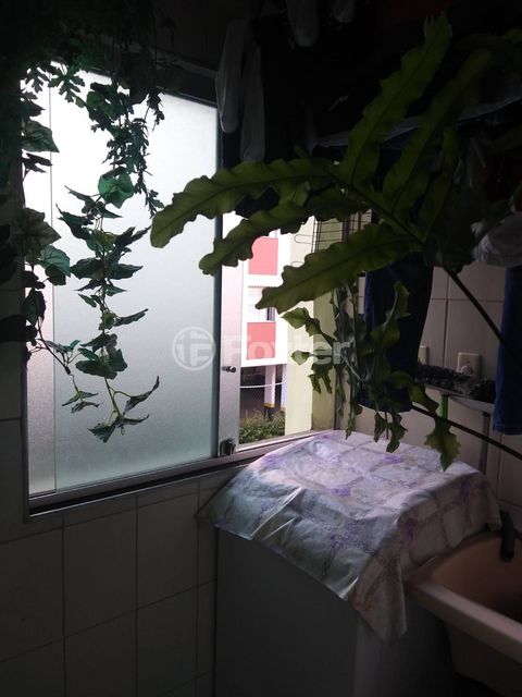 Image 11 - 840422