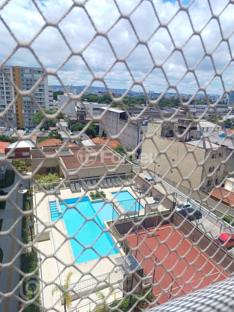 Image 5 - 842329