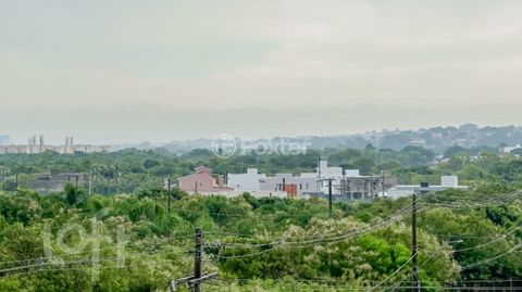 Image 16 - 842596