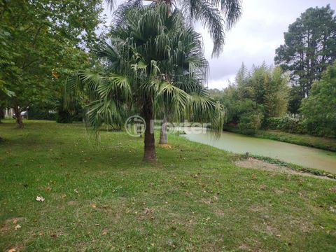 Image 6 - 843671