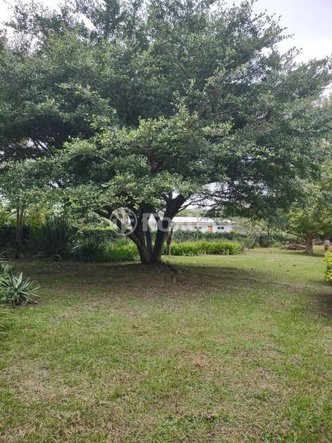 Image 10 - 843671