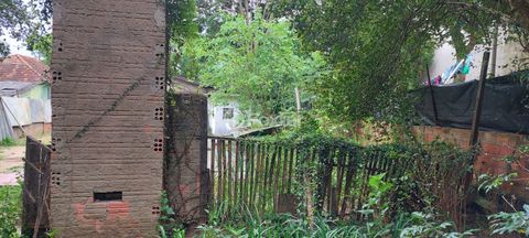 Image 4 - 845081