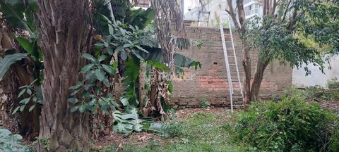 Image 1 - 845081
