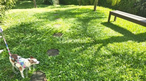 Image 15 - 847569