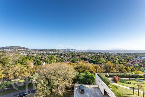 Image 15 - 847700