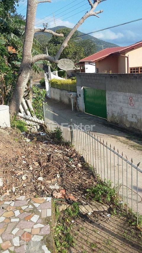 Image 10 - 848313