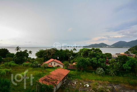 Image 12 - 848355