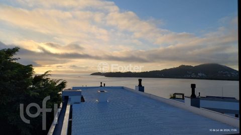 Image 8 - 848527