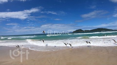Image 15 - 850014