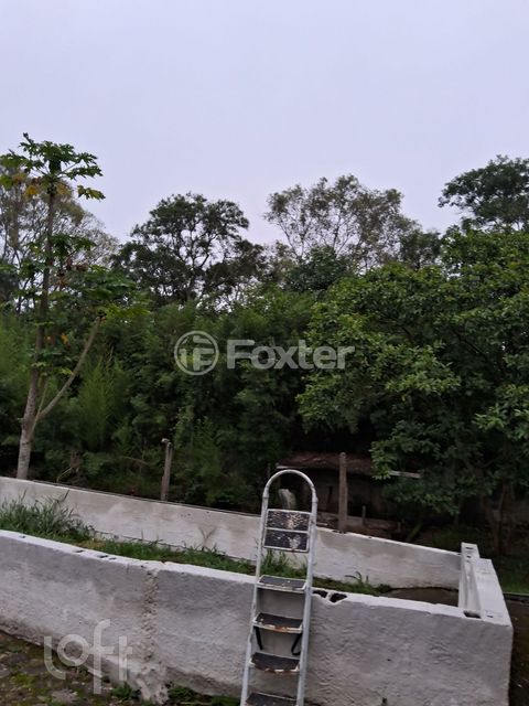 Image 13 - 850019