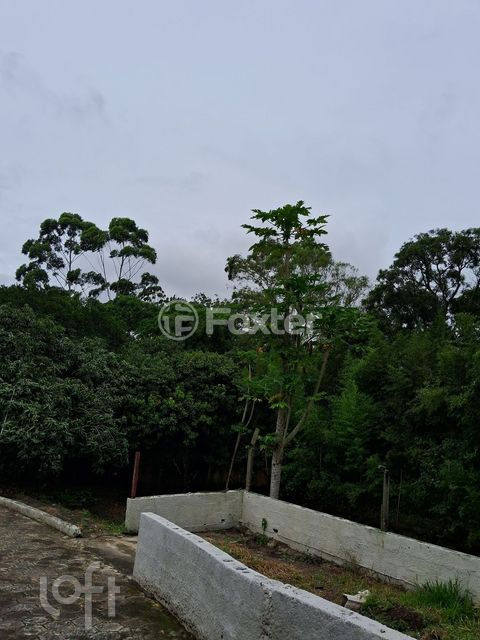 Image 12 - 850019
