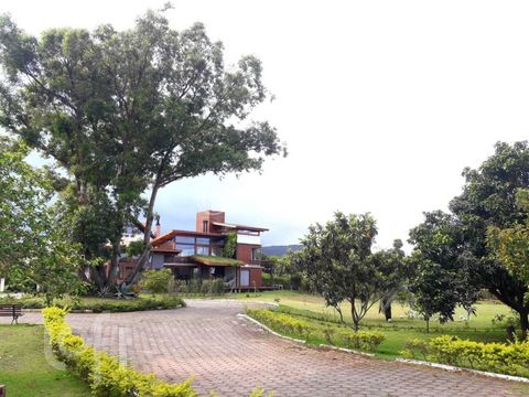 Image 4 - 850361