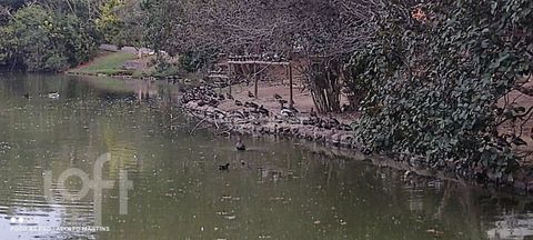 Image 9 - 854220