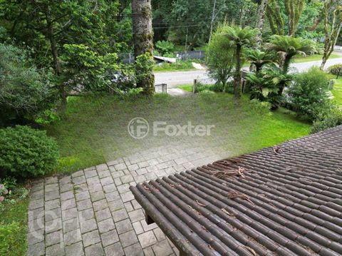 Image 10 - 854304
