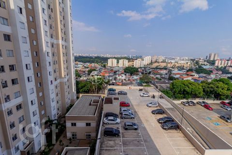 Image 11 - 854921