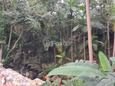 Image 2 - 854968