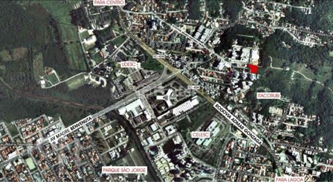 Image 11 - 855368