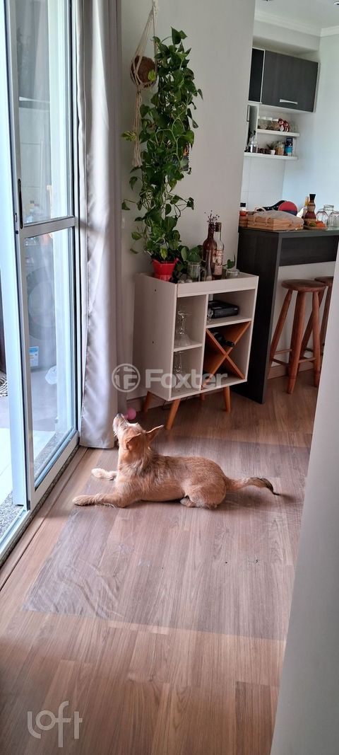 Image 1 - 856365