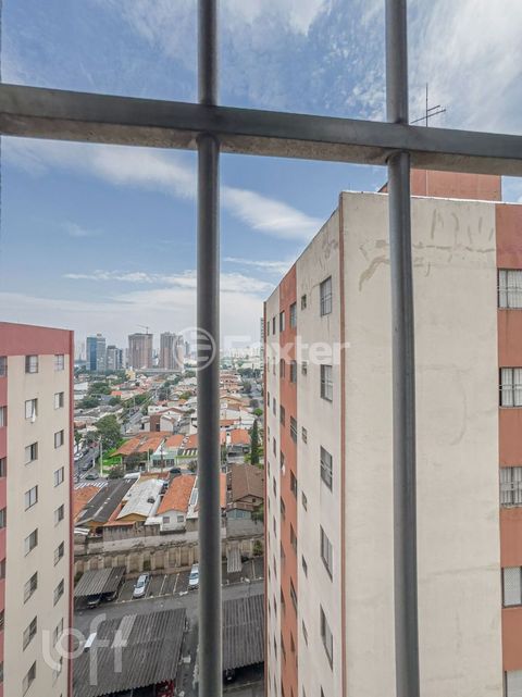 Image 13 - 856883