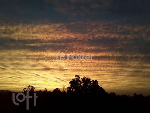 Image 16 - 857481