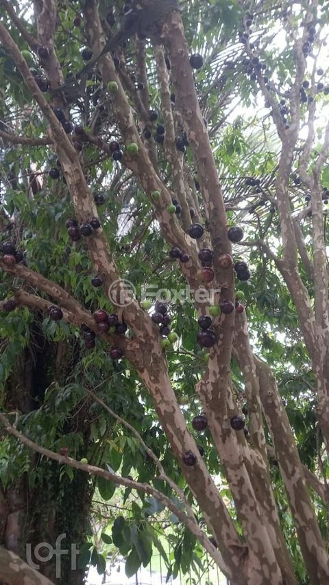 Image 4 - 857563