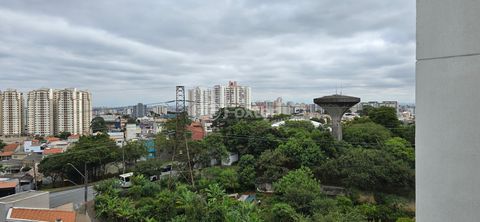Image 4 - 858639