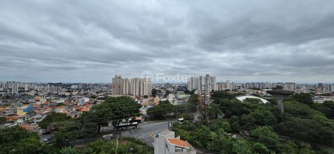 Image 4 - 858641