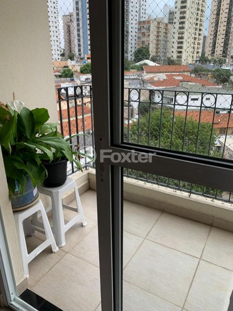Image 8 - 860733