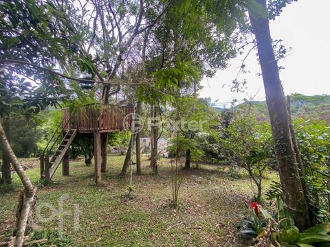 Image 8 - 861927