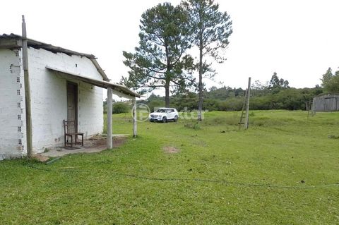 Image 4 - 863286