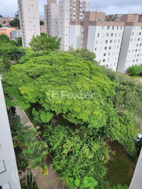 Image 3 - 864674