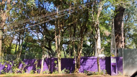 Image 11 - 865936