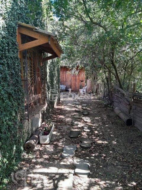 Image 9 - 866062