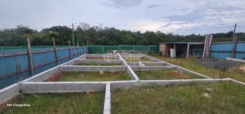 Image 9 - 866064