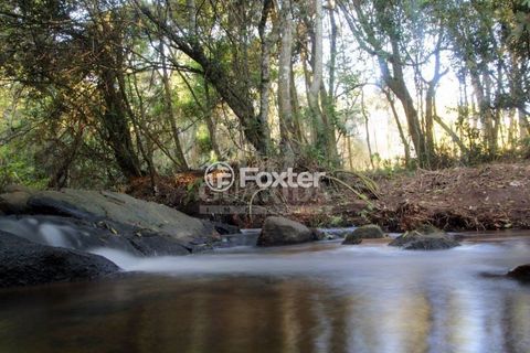 Image 4 - 866384