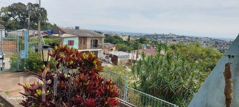 Image 6 - 867153