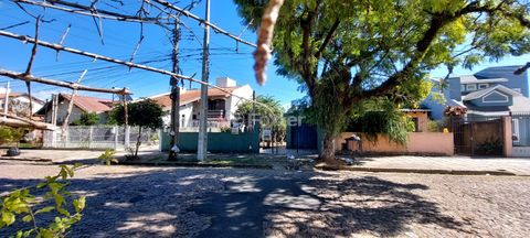 Image 19 - 867359