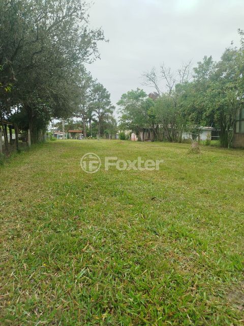 Image 8 - 867594