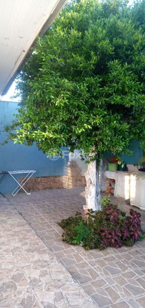 Image 7 - 867737