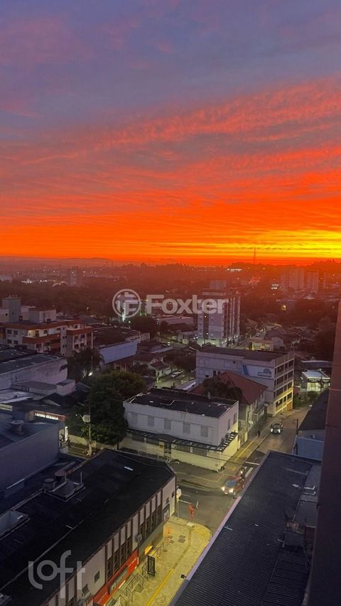 Image 16 - 867969